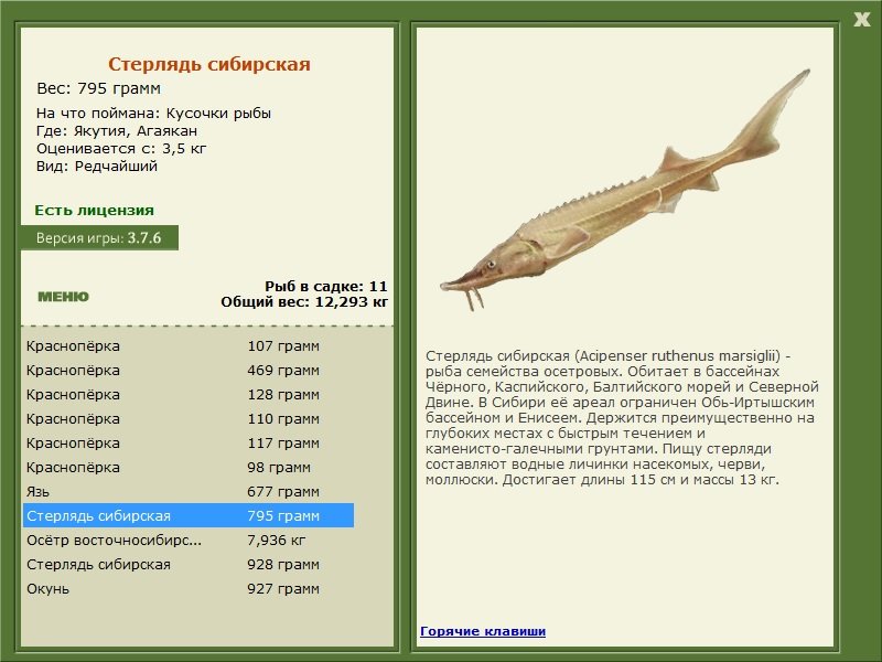 турниры • РУССКАЯ РЫБАЛКА