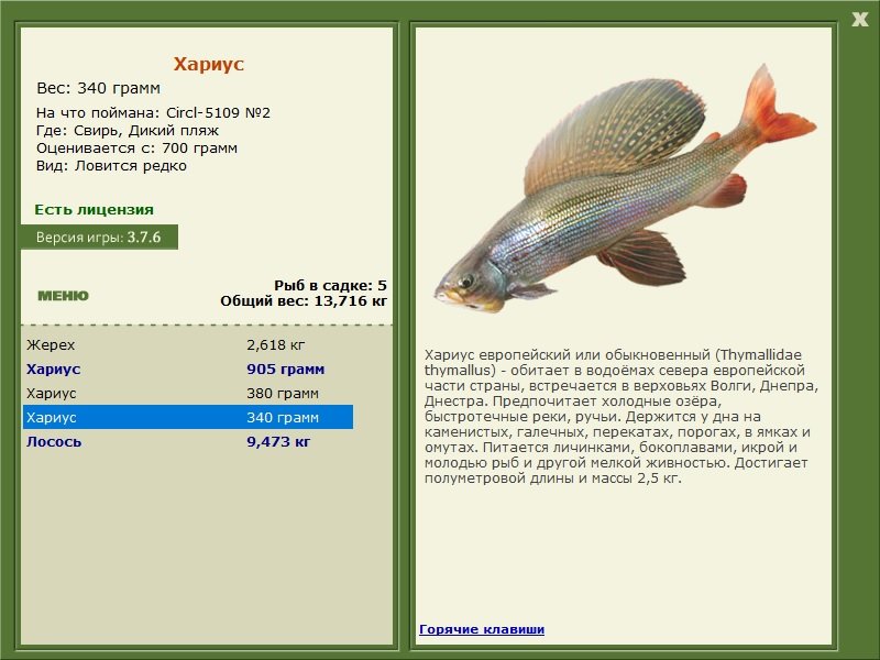 турниры • РУССКАЯ РЫБАЛКА