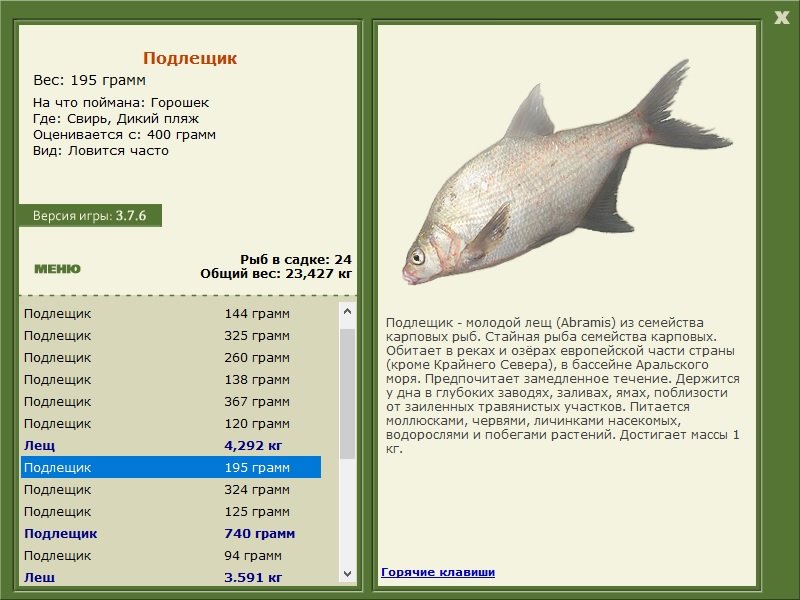 турниры • РУССКАЯ РЫБАЛКА