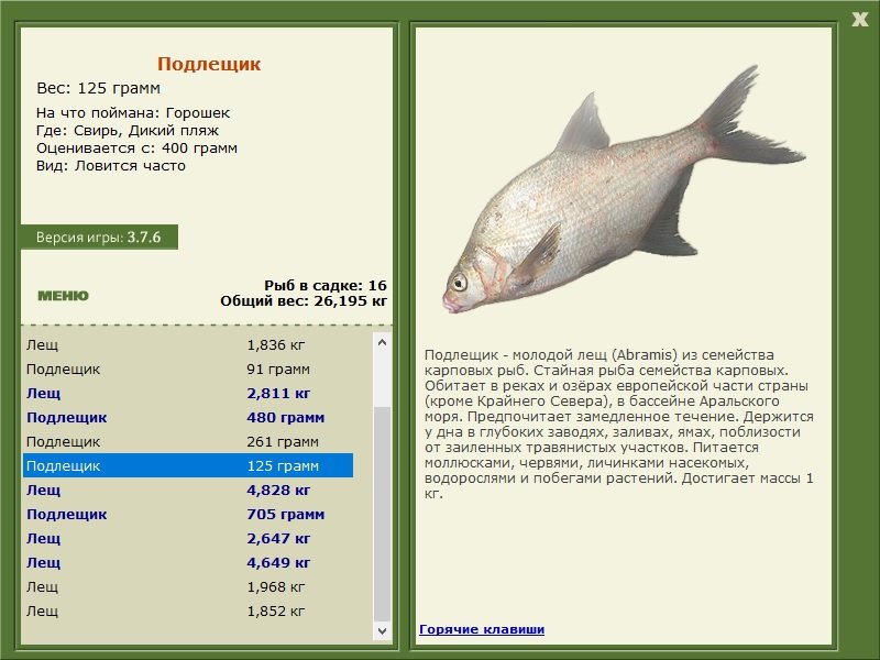 турниры • РУССКАЯ РЫБАЛКА