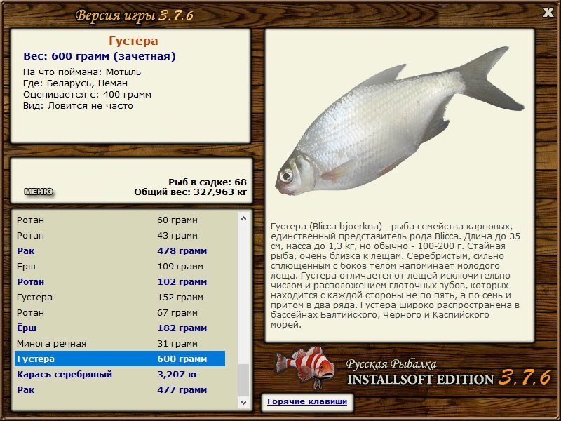 турниры • РУССКАЯ РЫБАЛКА