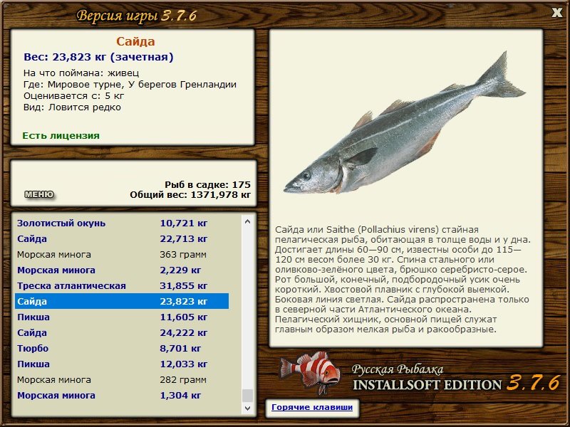 турниры • РУССКАЯ РЫБАЛКА