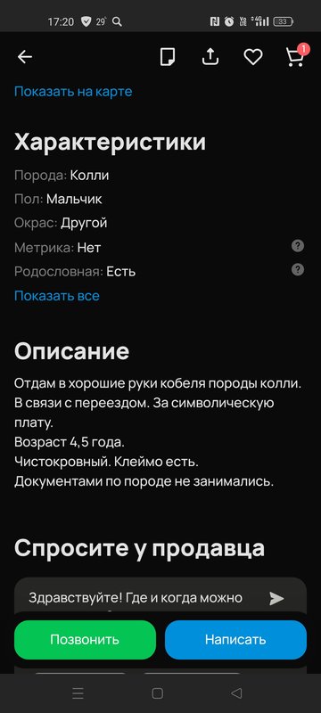 ФОРУМ ЛЮБИТЕЛЕЙ КОЛЛИ И ШЕЛТИ 