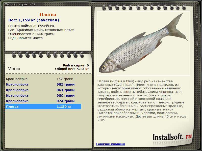 турниры • РУССКАЯ РЫБАЛКА