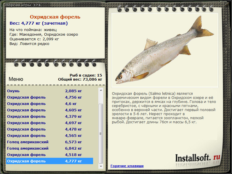 турниры • РУССКАЯ РЫБАЛКА