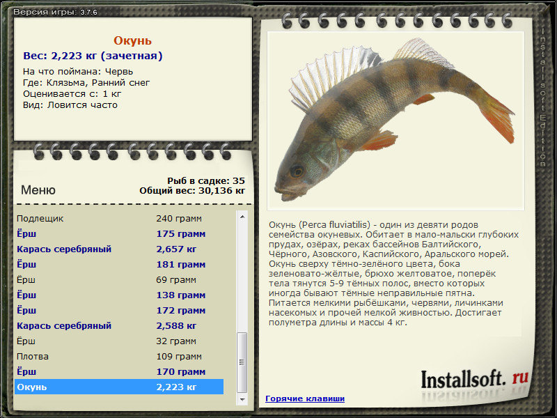 турниры • РУССКАЯ РЫБАЛКА