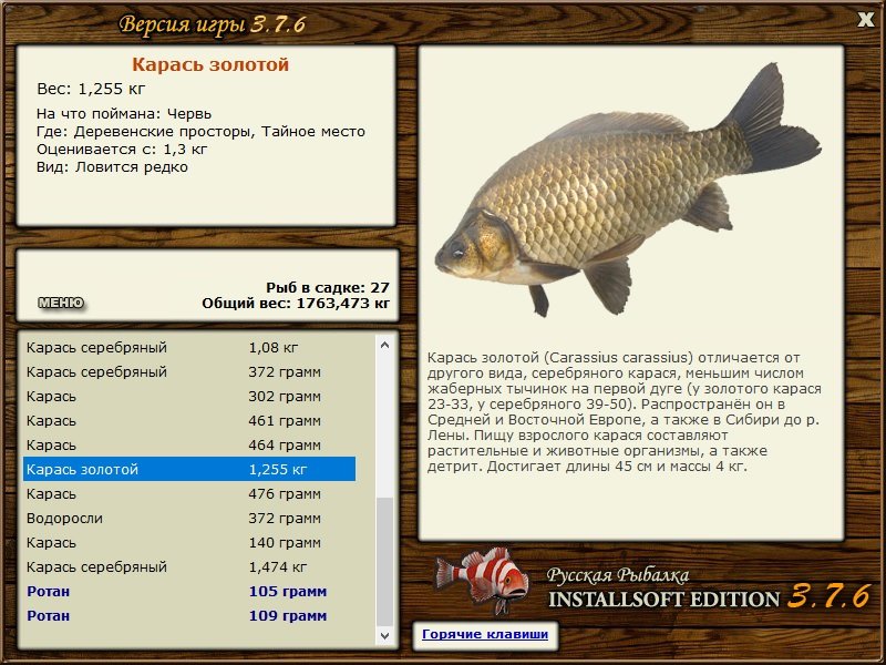 турниры • РУССКАЯ РЫБАЛКА