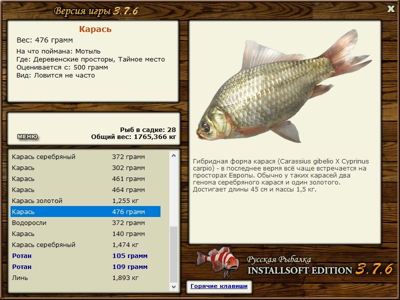 турниры • РУССКАЯ РЫБАЛКА