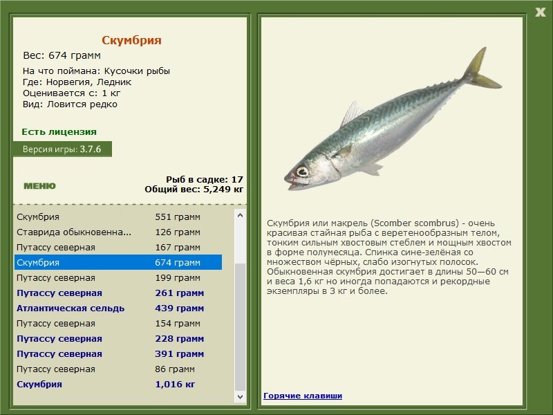 турниры • РУССКАЯ РЫБАЛКА