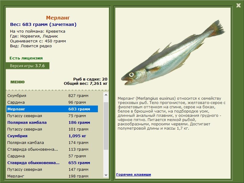 турниры • РУССКАЯ РЫБАЛКА