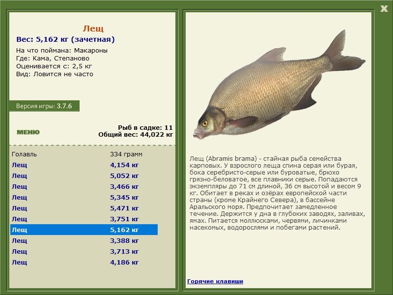 турниры • РУССКАЯ РЫБАЛКА