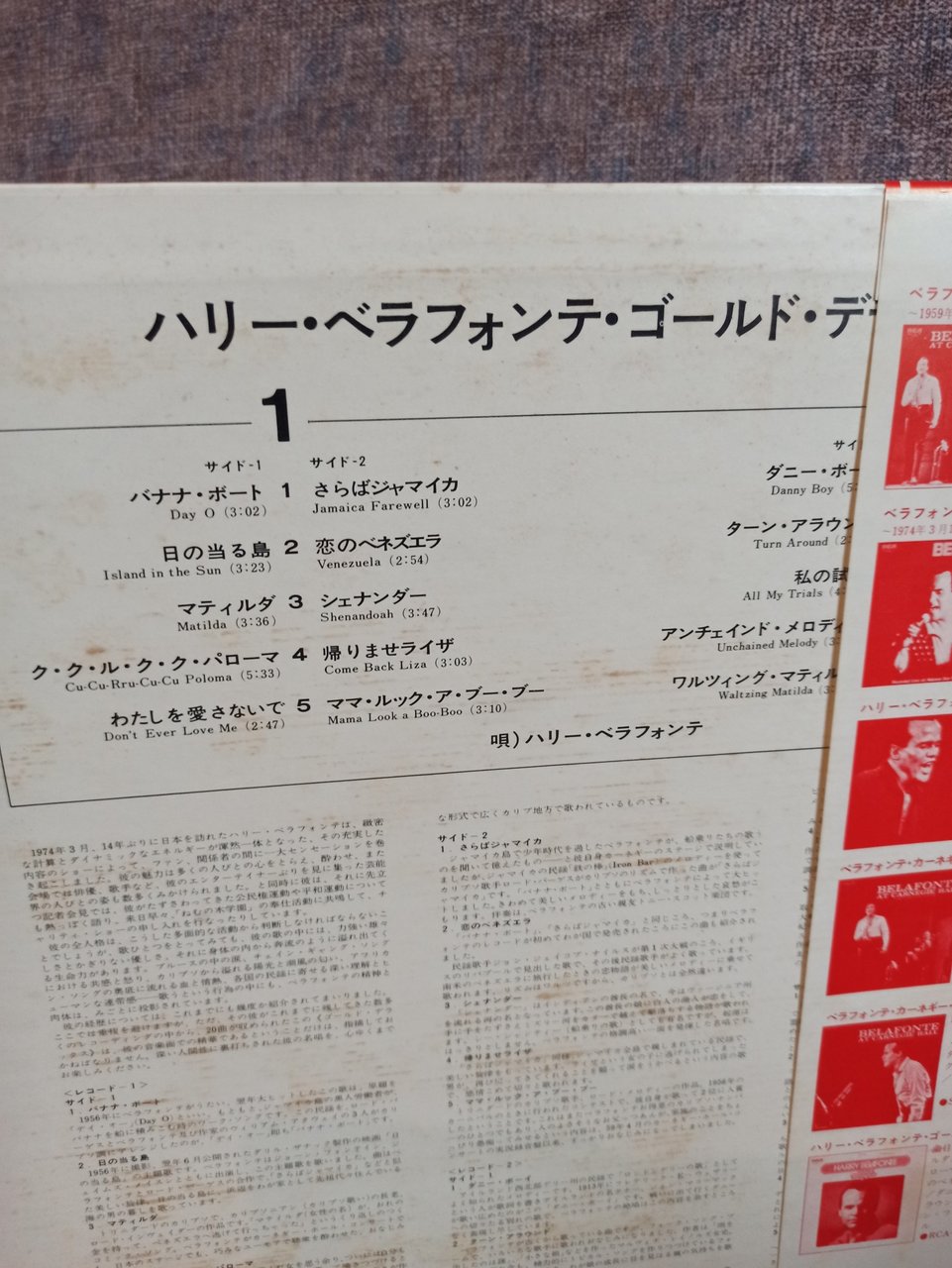  Много винила дополнение