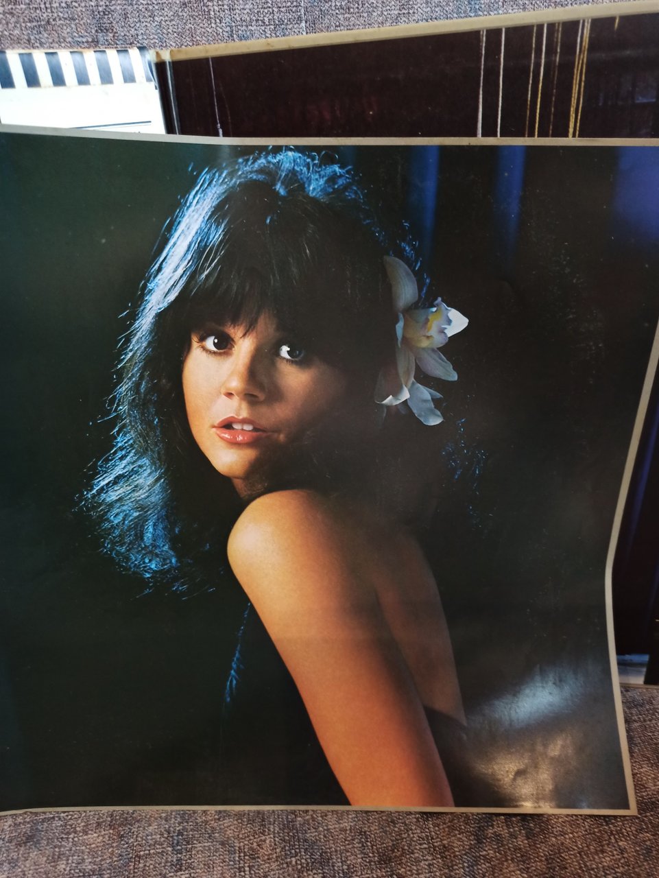  Много винила дополнение