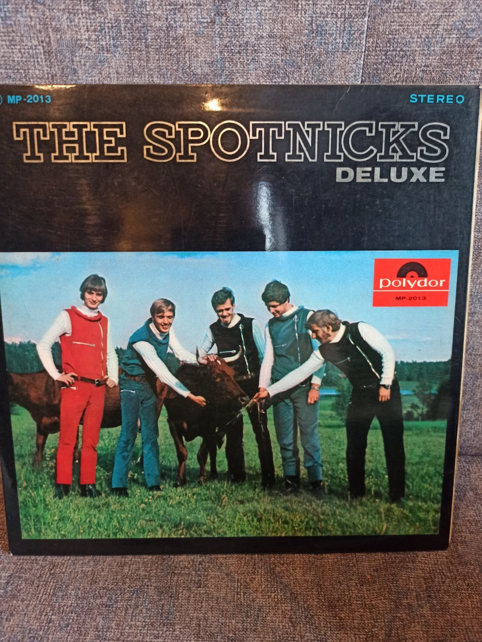  Много винила дополнение