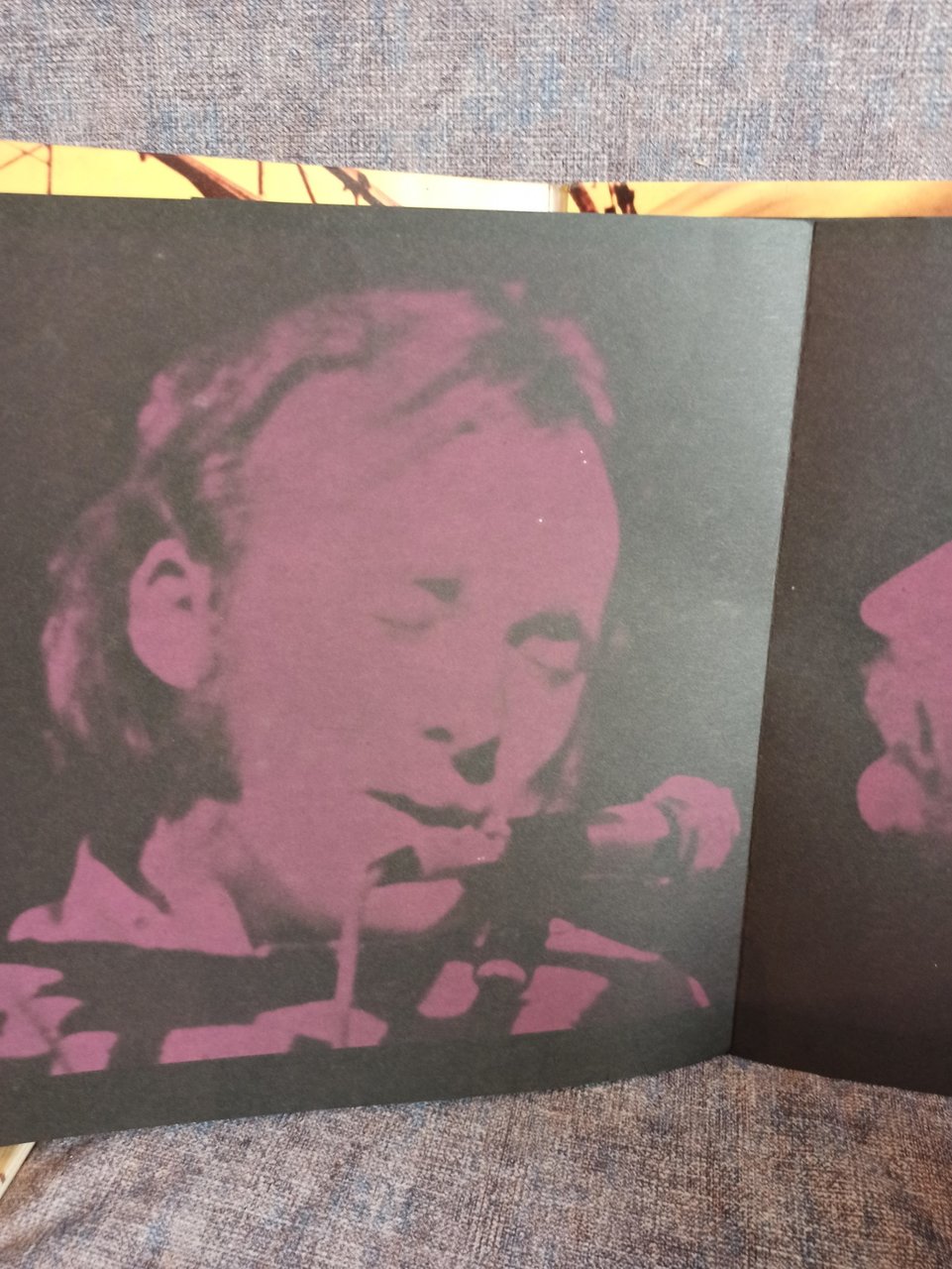  Много винила дополнение