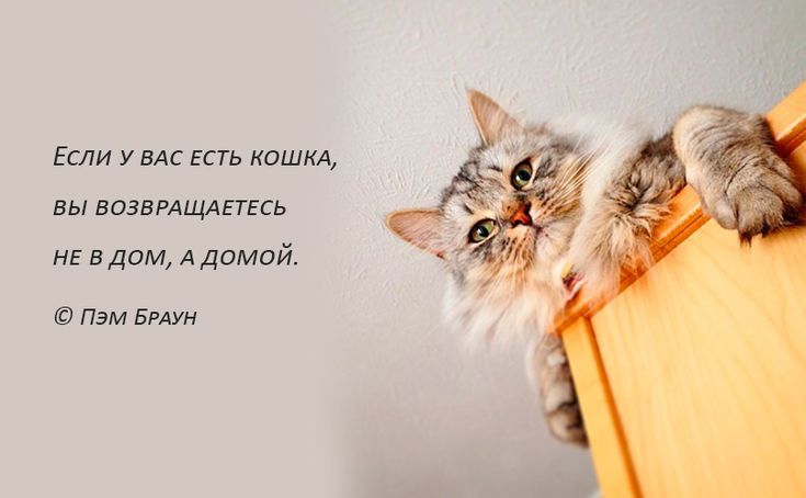 Клуб практиков 