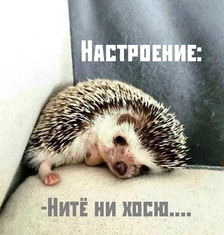  И снова - пятница...