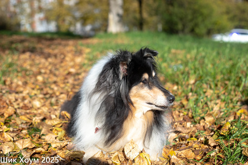  Наталья Бердникова, Пермский край