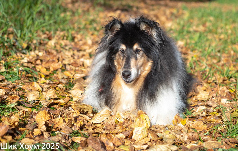  Наталья Бердникова, Пермский край