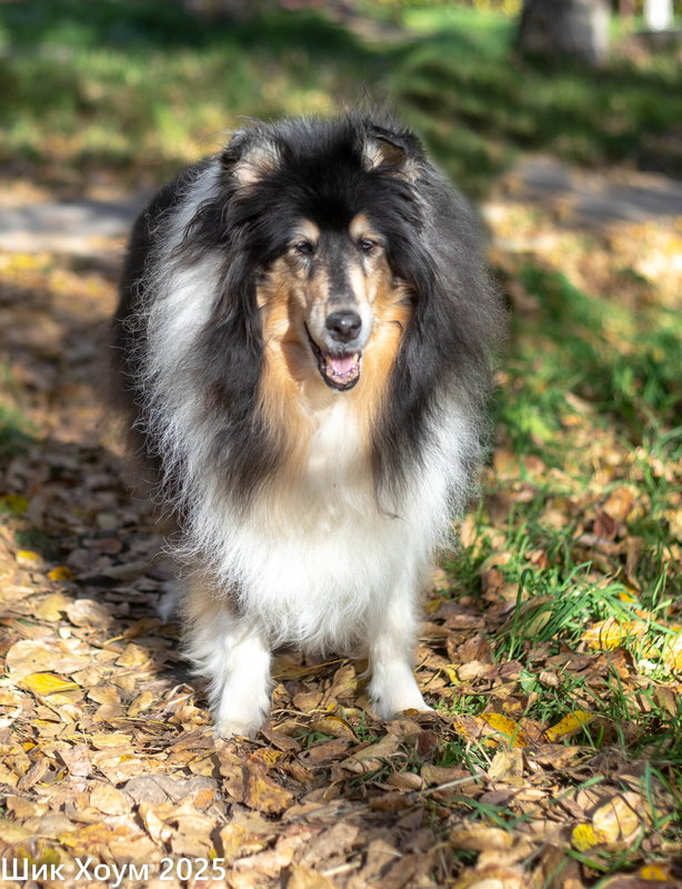  Наталья Бердникова, Пермский край