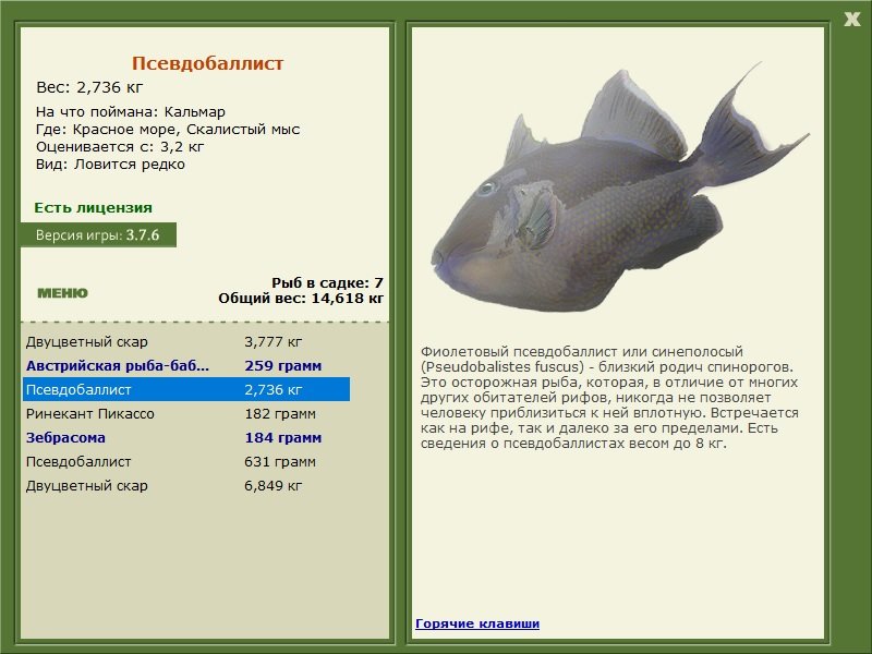 турниры • РУССКАЯ РЫБАЛКА