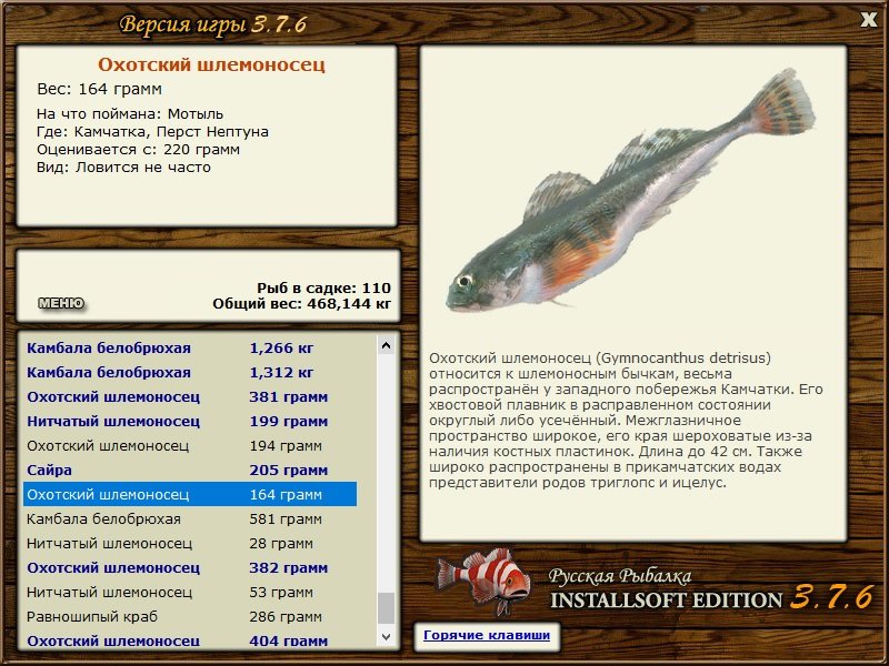 турниры • РУССКАЯ РЫБАЛКА