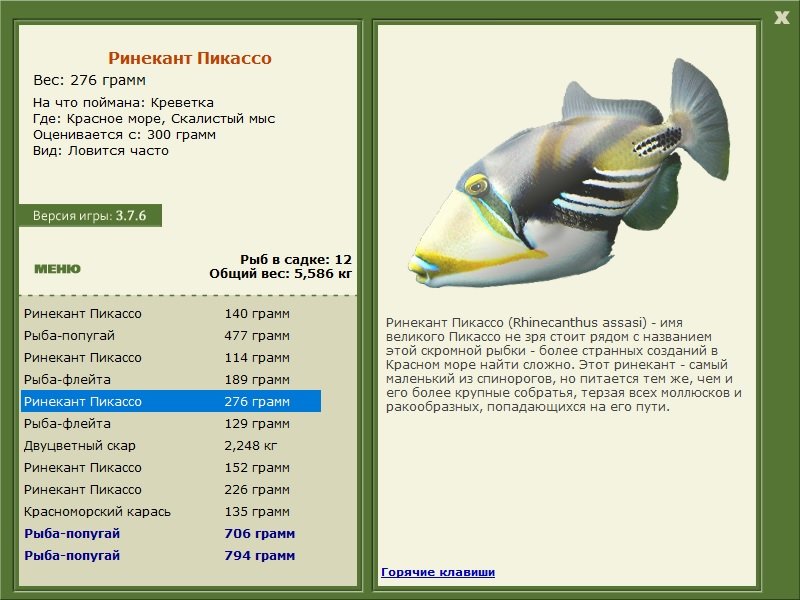 турниры • РУССКАЯ РЫБАЛКА