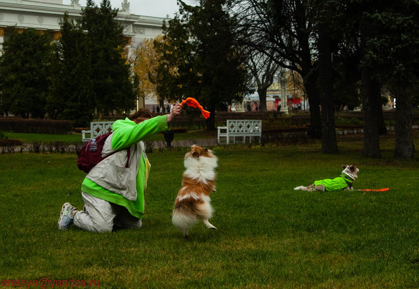  Привет, Бася - это я :-)