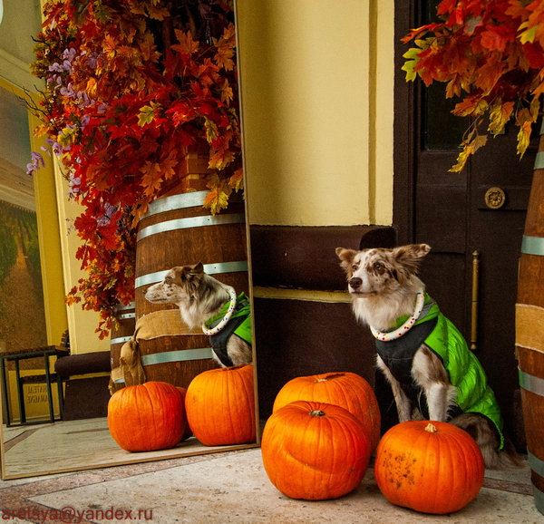  Привет, Бася - это я :-)