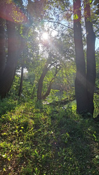  Дневник Натуси - 2025