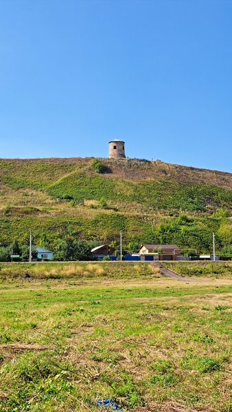  Дневник Натуси - 2025