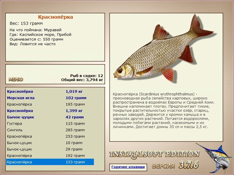 турниры • РУССКАЯ РЫБАЛКА