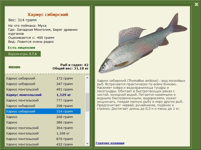 турниры • РУССКАЯ РЫБАЛКА