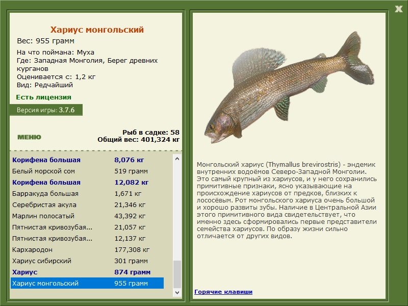 турниры • РУССКАЯ РЫБАЛКА