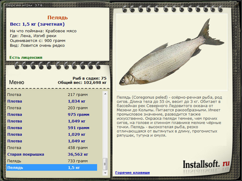 турниры • РУССКАЯ РЫБАЛКА