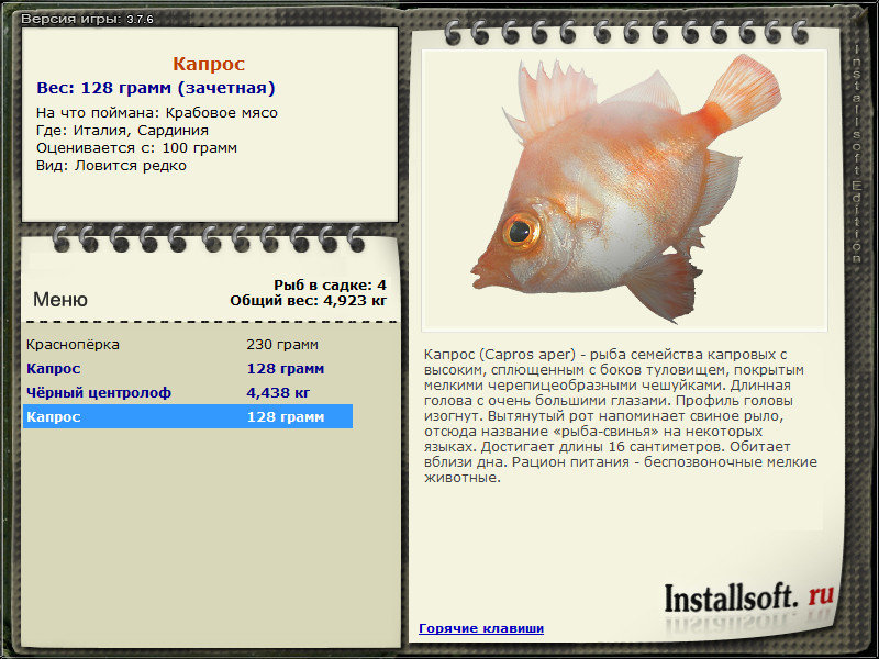 турниры • РУССКАЯ РЫБАЛКА