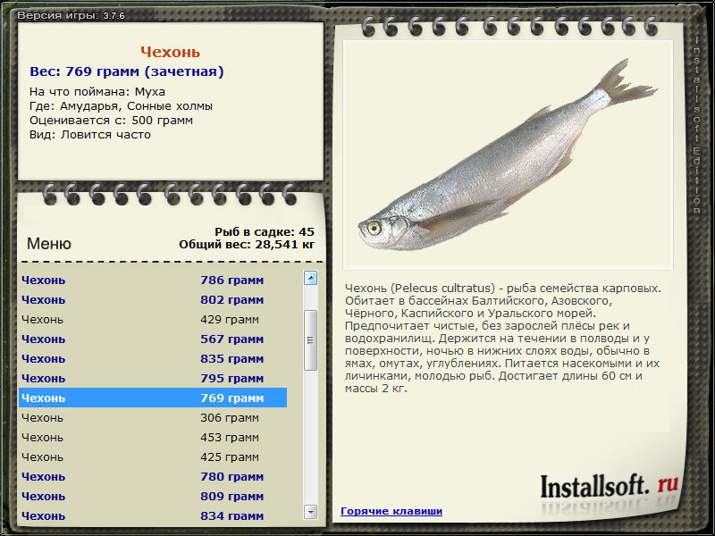 турниры • РУССКАЯ РЫБАЛКА