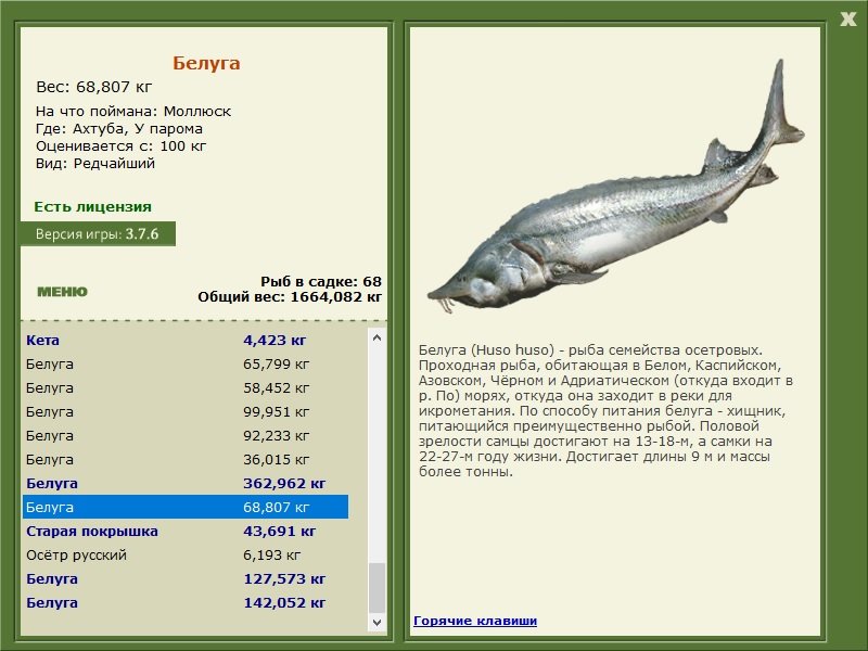 турниры • РУССКАЯ РЫБАЛКА