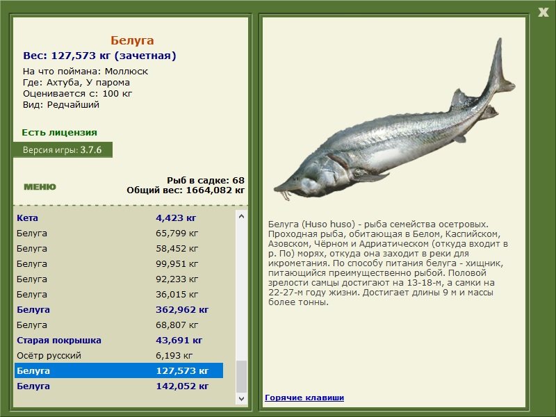 турниры • РУССКАЯ РЫБАЛКА