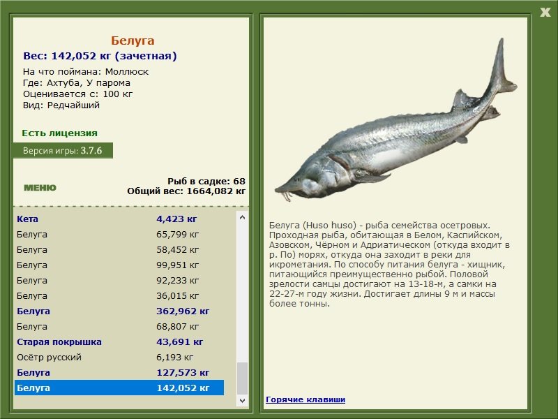 турниры • РУССКАЯ РЫБАЛКА