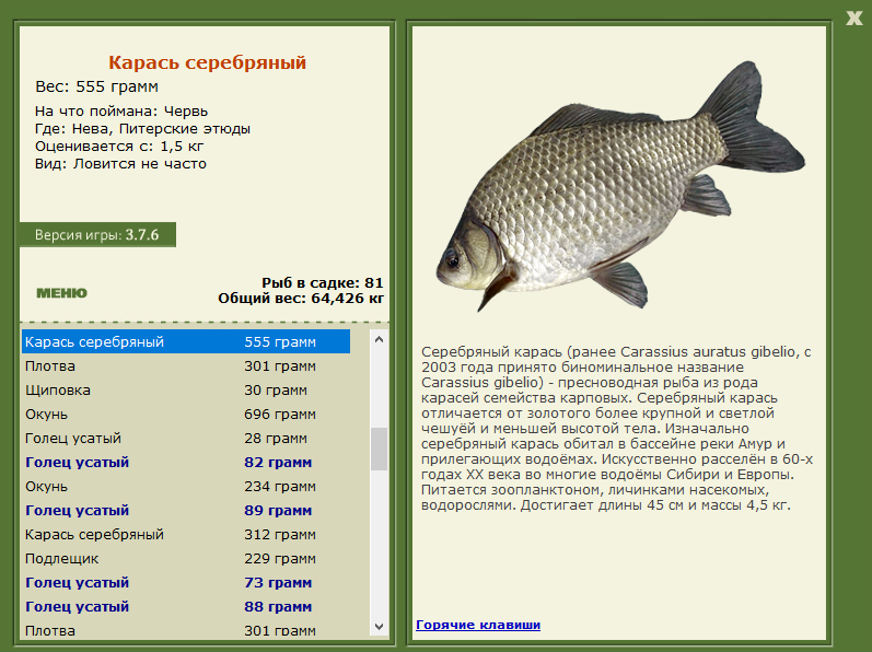 турниры • РУССКАЯ РЫБАЛКА