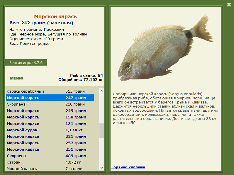 турниры • РУССКАЯ РЫБАЛКА