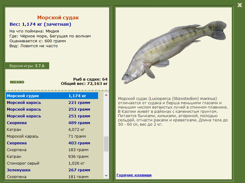 турниры • РУССКАЯ РЫБАЛКА