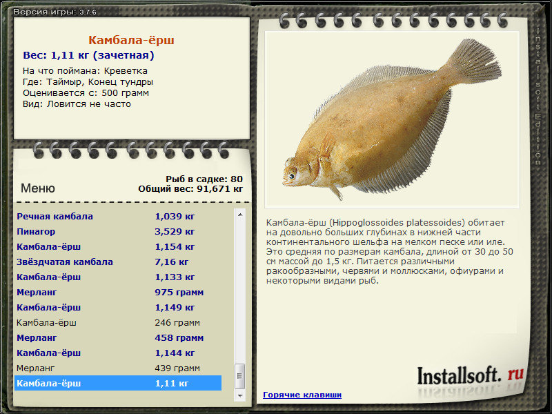  забор • Praise-турниры • РУССКАЯ РЫБАЛКА