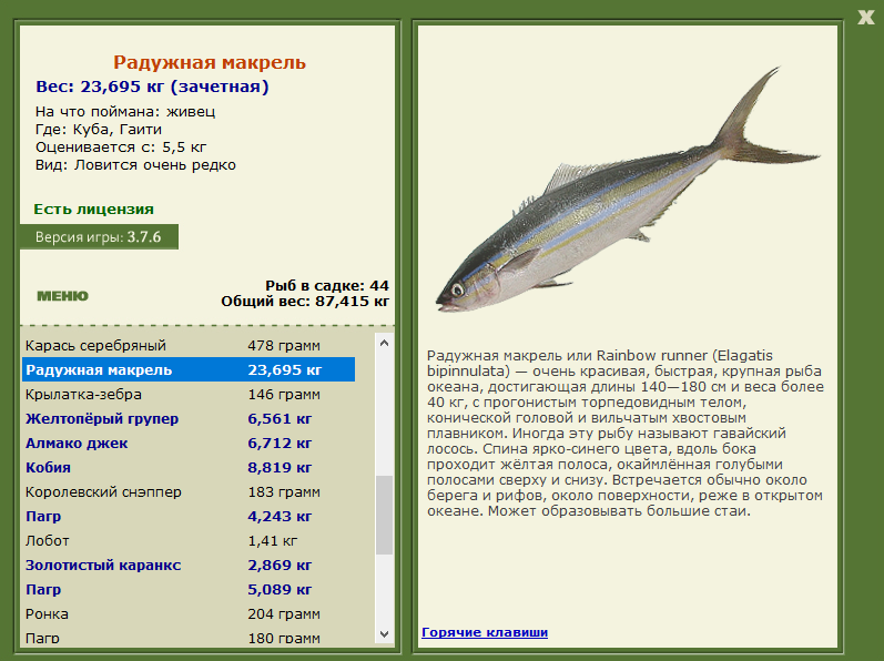 турниры • РУССКАЯ РЫБАЛКА