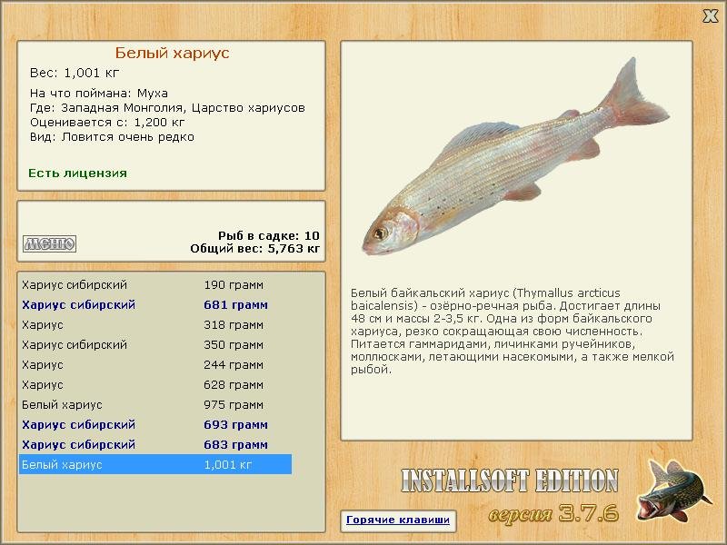 турниры • РУССКАЯ РЫБАЛКА