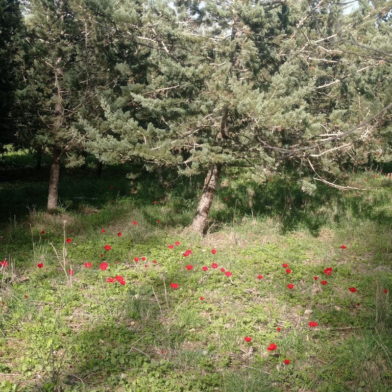 2024.05.09 У природы нет плохой погоды...