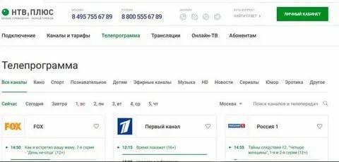  Ответить