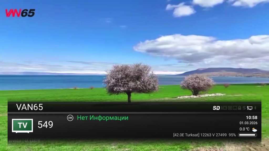  Ответить
