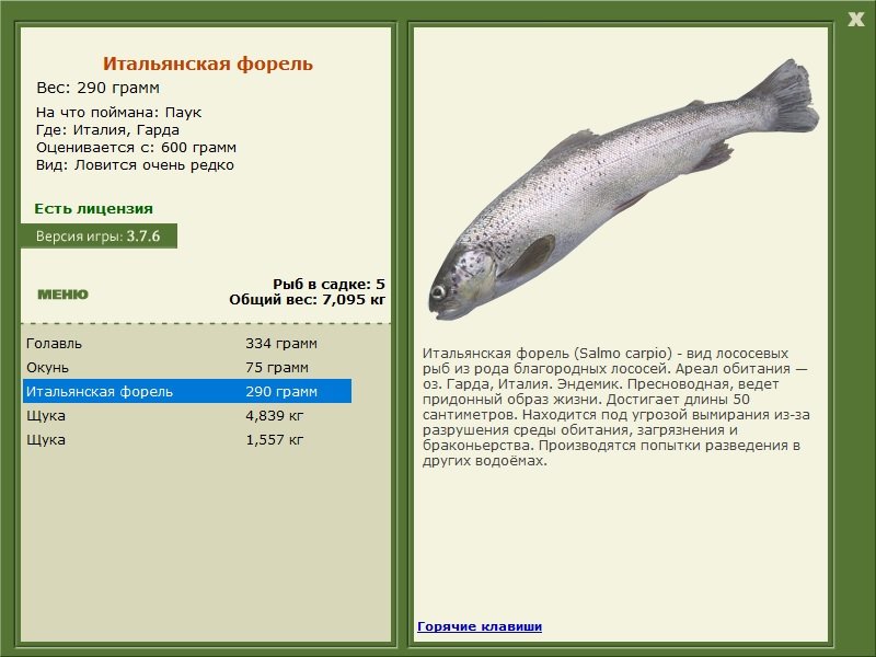 турниры • РУССКАЯ РЫБАЛКА